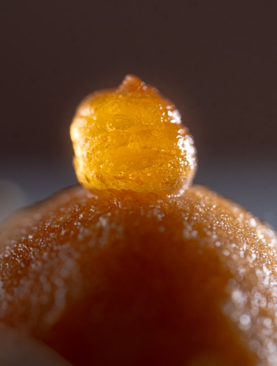 Gros plan sur la texture d’un plat gastronomique pour Ostapé à Bidarray, France.