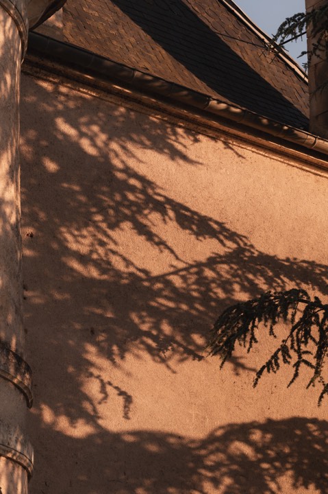 L’ombre de la végétation sur un mur pour Hôtel Edward I à Monpazier, France.